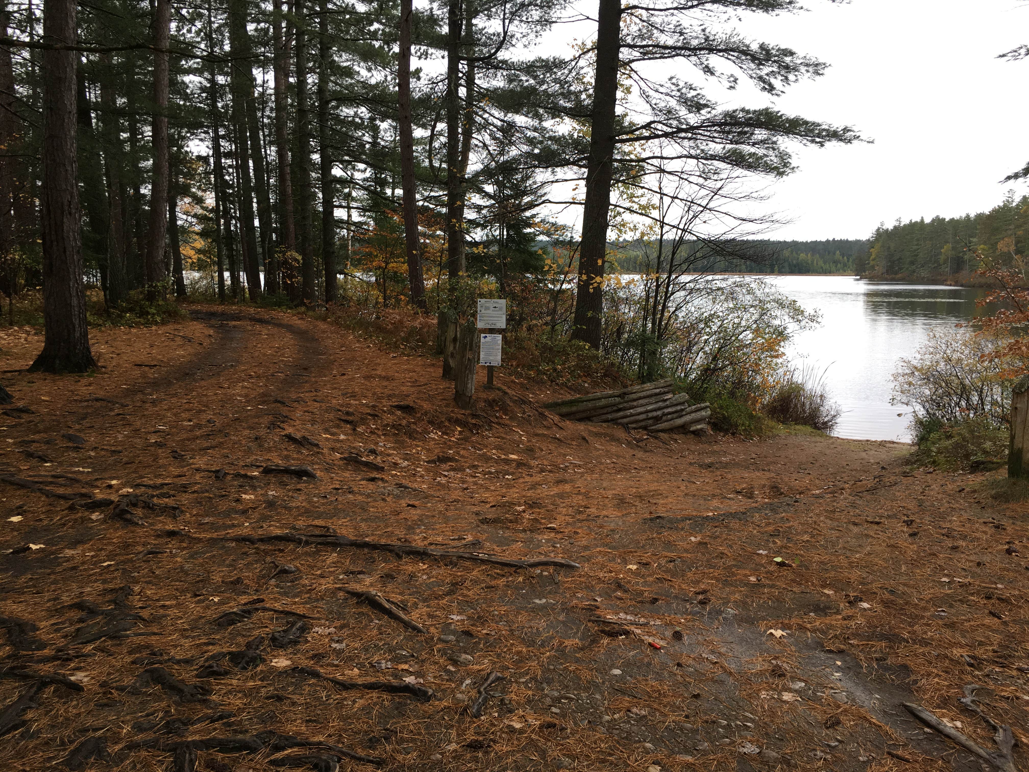 Camper-submitted photo at Jones Pond Campground near Portageville, NY