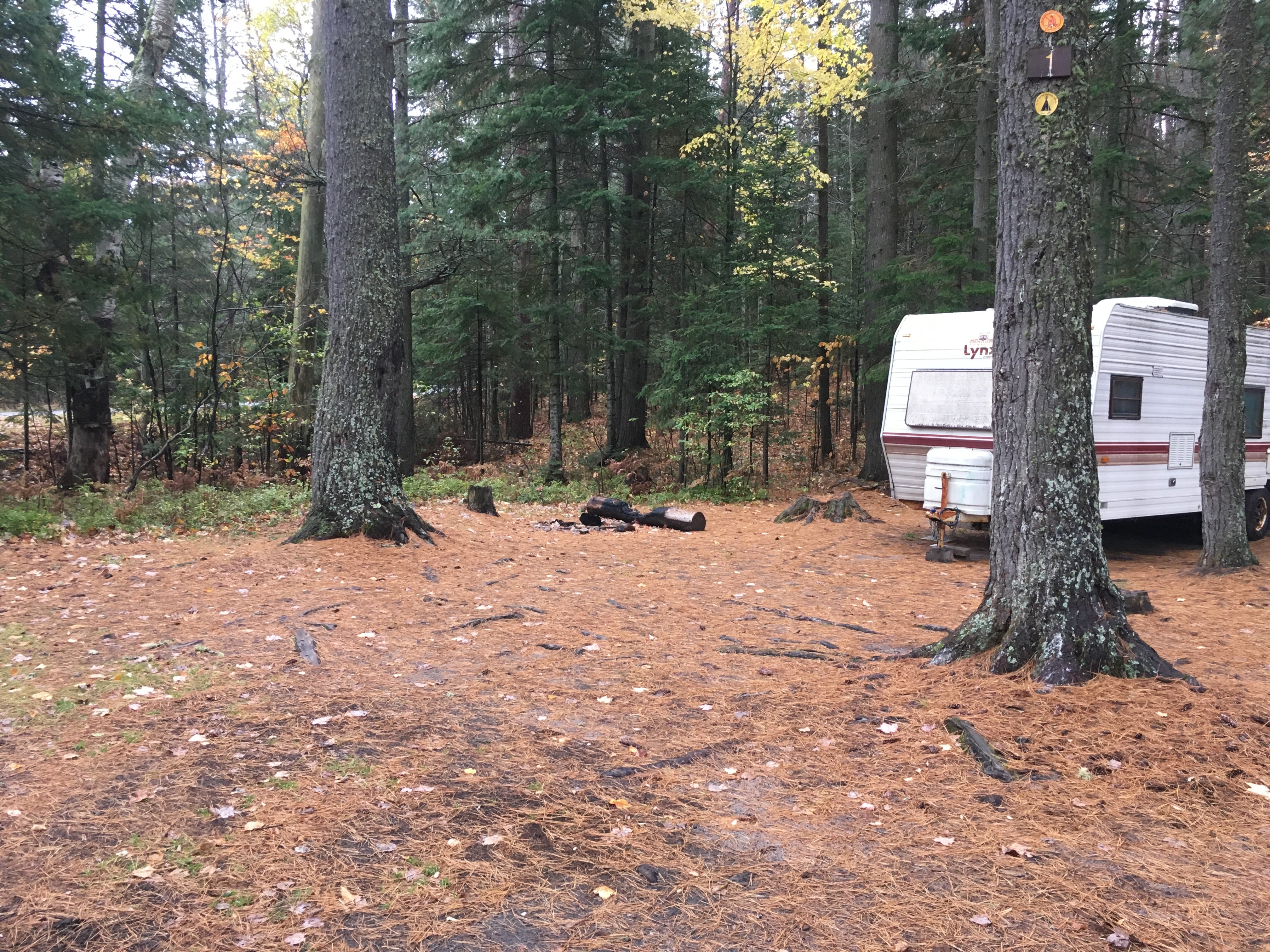 Camper submitted image from Jones Pond Campground - 4