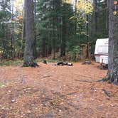 Review photo of Jones Pond Campground by Madison W., October 19, 2018