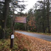 Review photo of Jones Pond Campground by Madison W., October 19, 2018