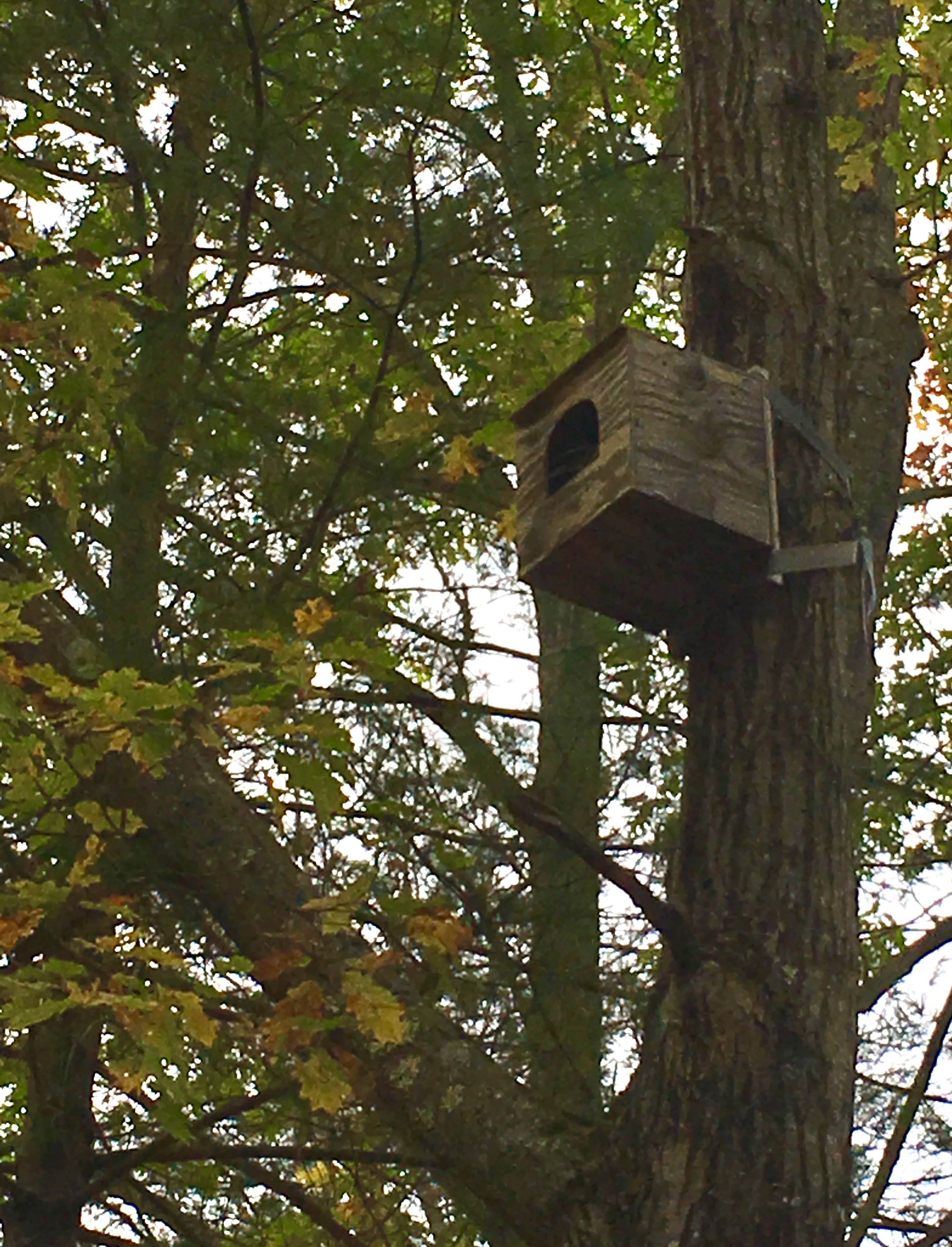 Ricki F.'s photo of a cabin at Andy Guest/Shenandoah River State Park Campground near Strasburg, VA
