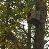 Review photo of Andy Guest/Shenandoah River State Park Campground by Ricki F., October 19, 2018