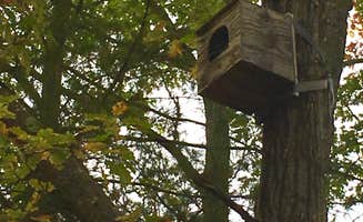 Ricki F.'s photo of a cabin at Andy Guest/Shenandoah River State Park Campground near Boyce, VA