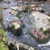 Review photo of Andy Guest/Shenandoah River State Park Campground by Ricki F., October 19, 2018