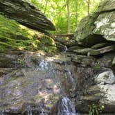 Review photo of Harpers Ferry Campground - River Riders by Sam M., October 19, 2018