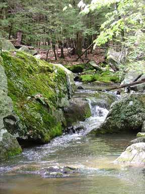 Camper-submitted photo at Linton near Barkley Lake