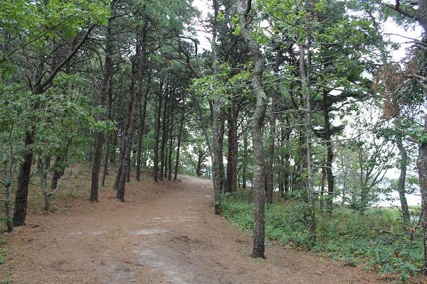 Camper-submitted photo at Linton near Barkley Lake