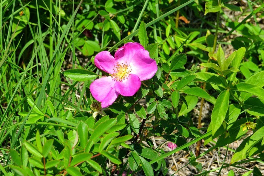 Camper-submitted photo at Linton near Barkley Lake