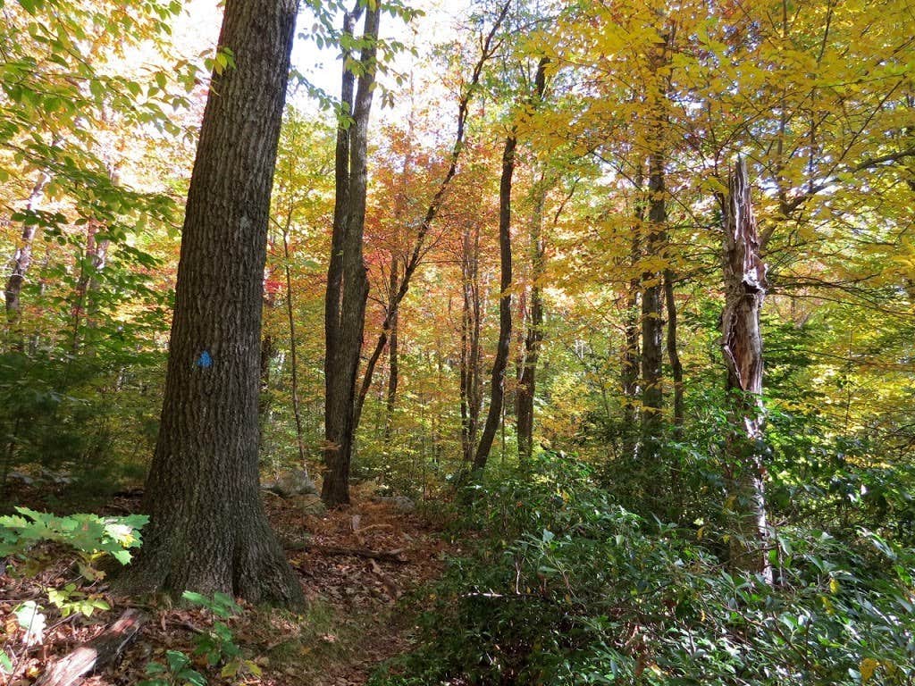 Camper-submitted photo at Linton near Barkley Lake