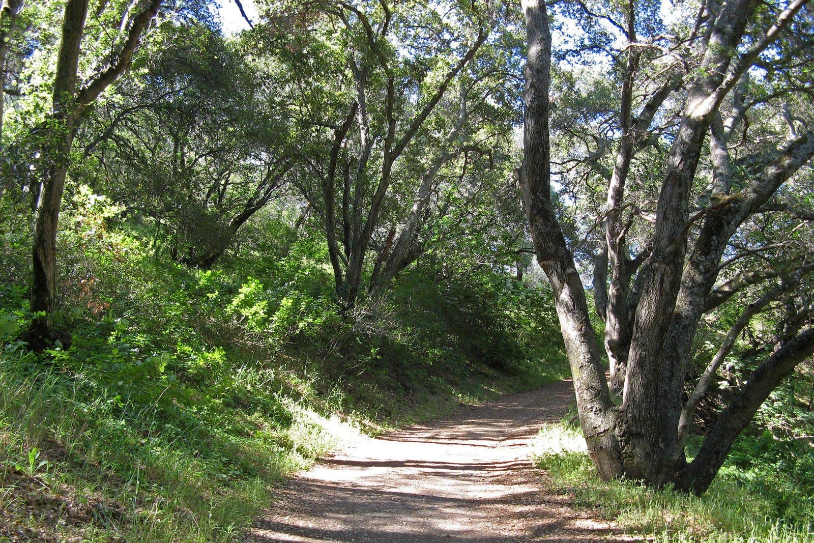 Camper-submitted photo at Linton near Barkley Lake