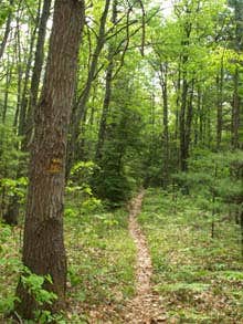 Camper-submitted photo at Linton near Barkley Lake