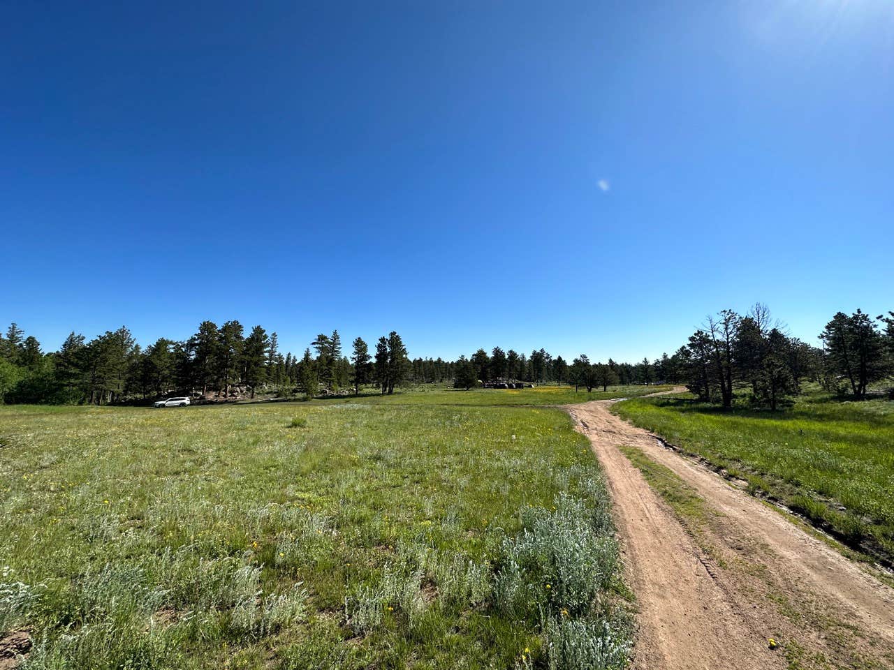 Kevin W.'s photo of a dispersed camping area at Lost Lake Dispersed near Ault, CO