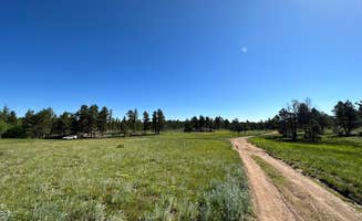 Kevin W.'s photo of a dispersed camping area at Lost Lake Dispersed near Ault, CO