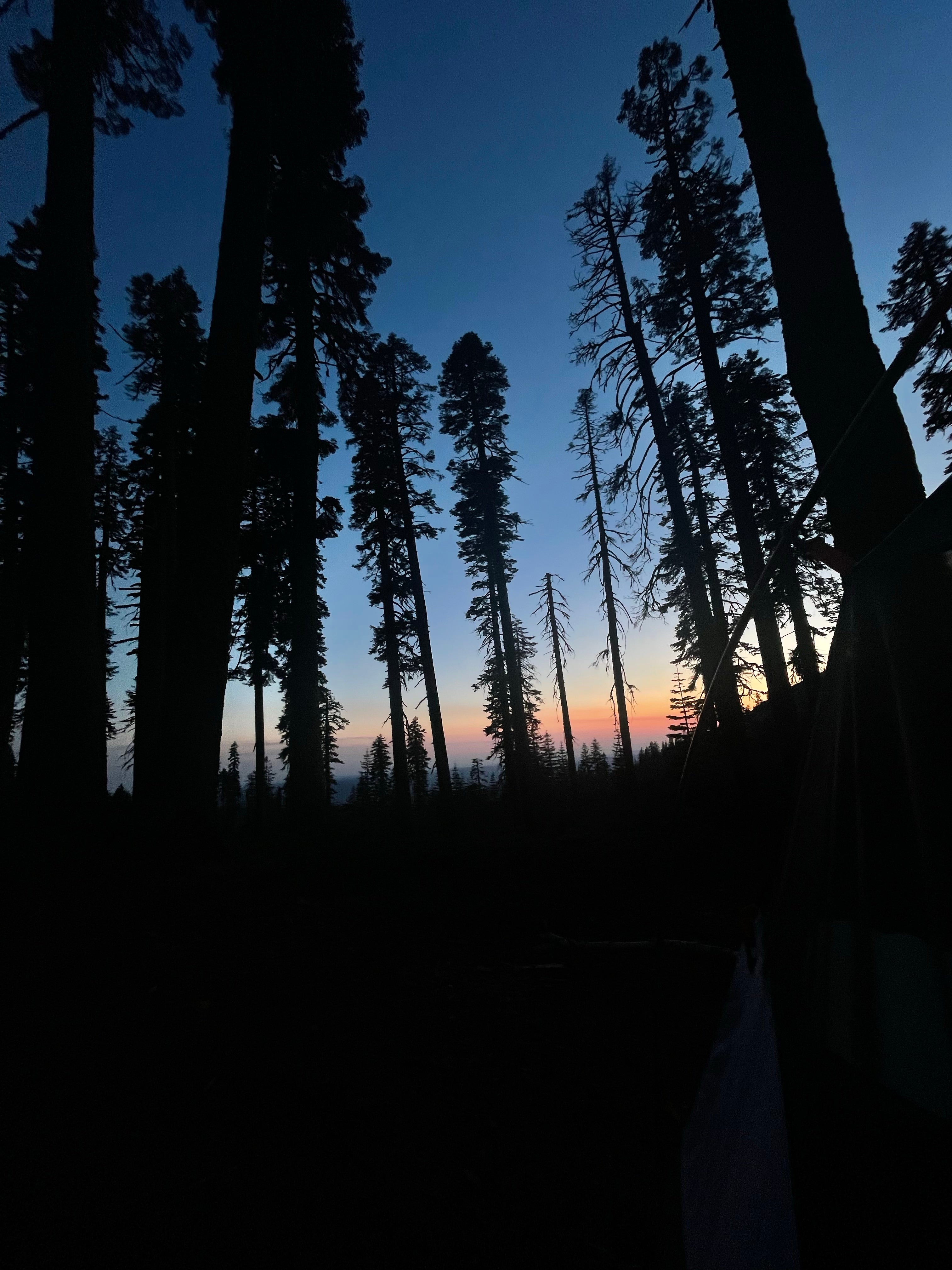 Camper submitted image from Grouse Ridge Campground - 4