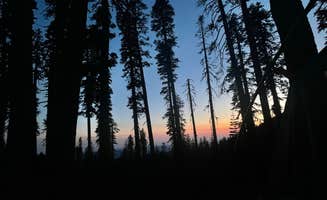 Lucia S.'s photo at Grouse Ridge Campground near Alleghany, CA