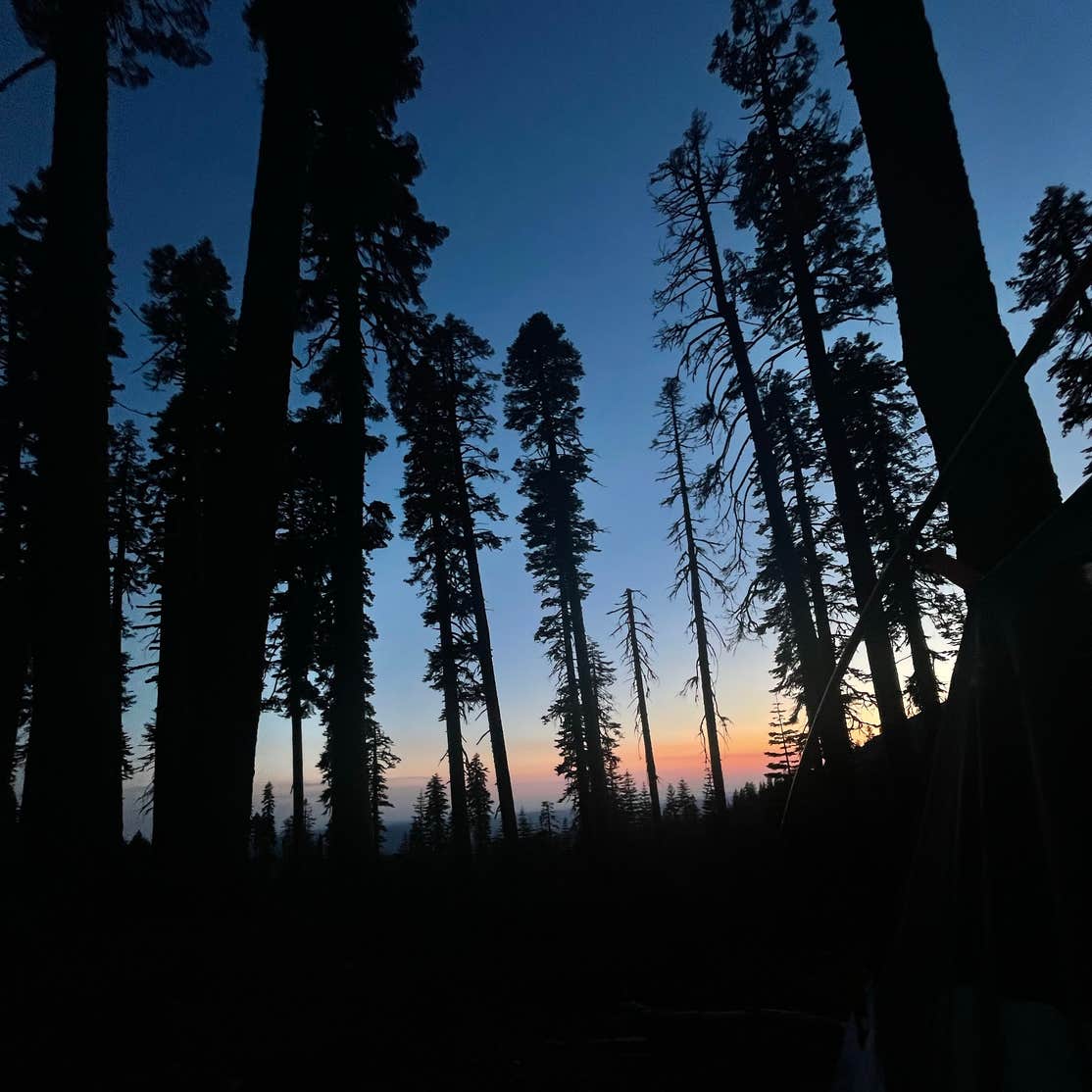 Grouse Ridge Campground | Emigrant Gap, California