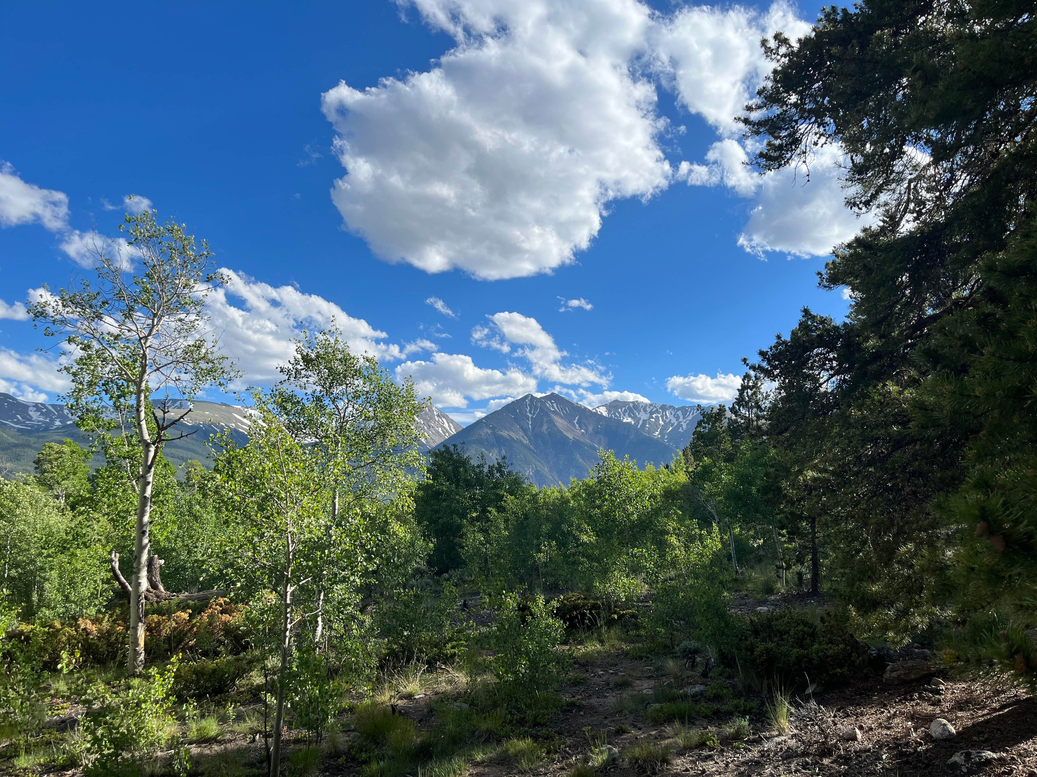Evan R.'s photo of a dispersed camping area at Twin Lakes Dispersed Camping - Site 1 West near Leadville, CO