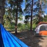 Review photo of Twin Lakes Dispersed Camping - Site 1 West by Evan R., June 27, 2023