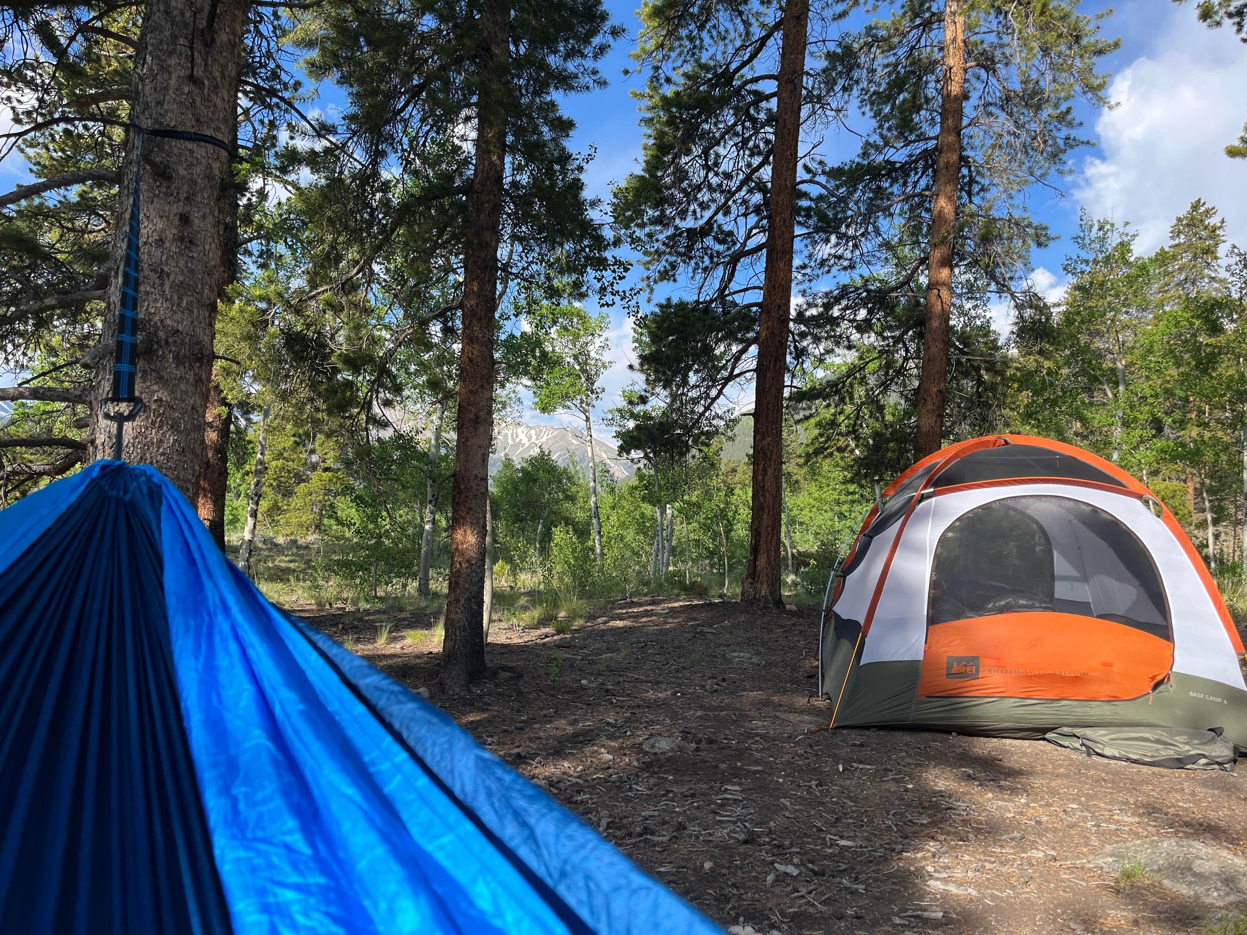 Camper submitted image from Twin Lakes Dispersed Camping - Site 1 West - 2