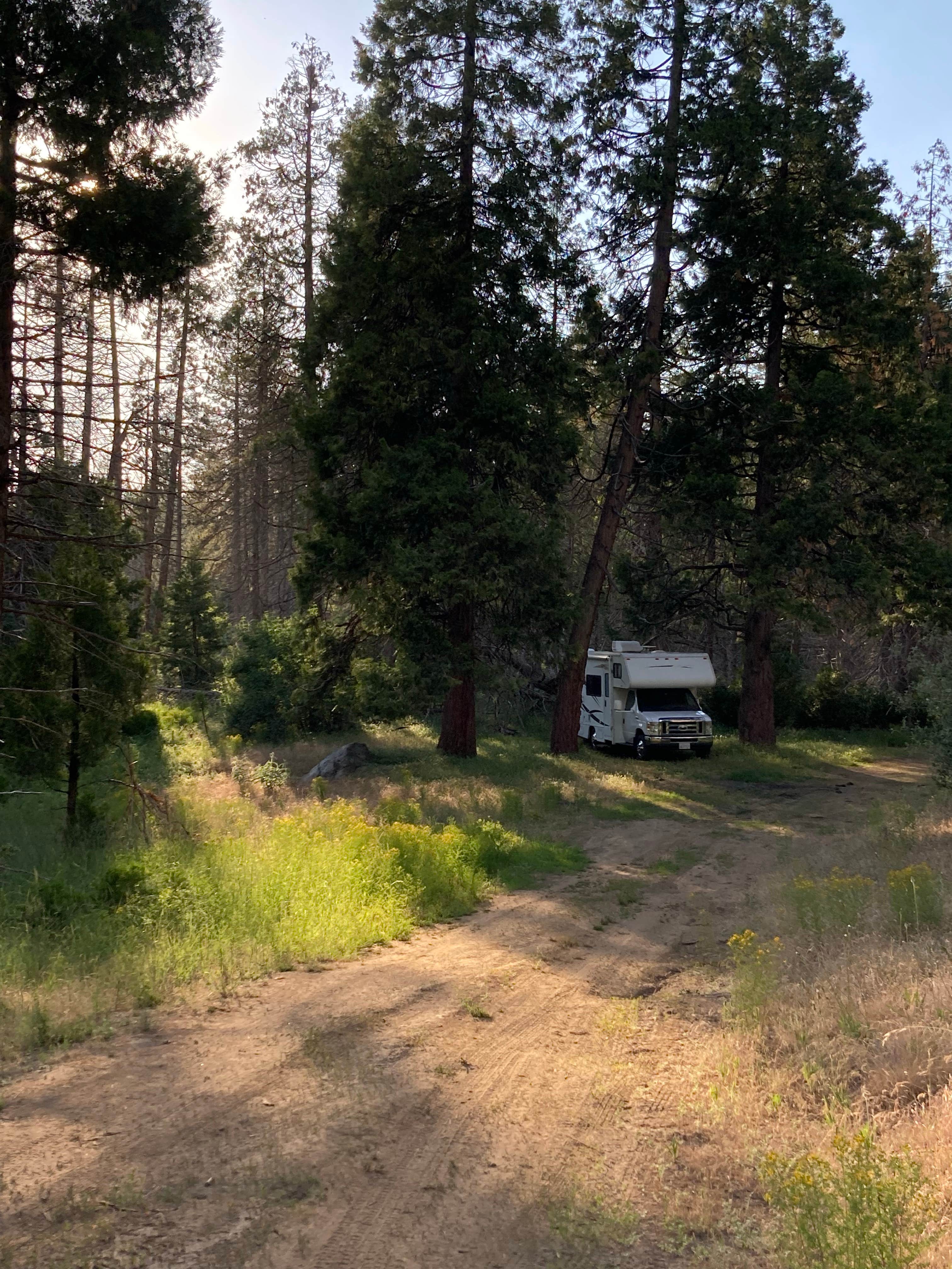 Camper-submitted photo at Sequoia Forest Hunting Area - FS 13597 near Sanger, CA