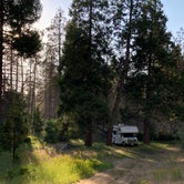 Review photo of Sequoia Forest Hunting Area - FS 13597 by Ray S., June 27, 2023