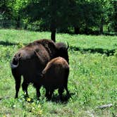 Review photo of The Point Campground — Chickasaw National Recreation Area by Bob N., June 27, 2023