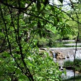 Review photo of The Point Campground — Chickasaw National Recreation Area by Bob N., June 27, 2023