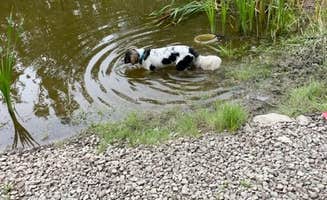 The Dyrt's photo of camping with pets at Tentrr Signature Site - Pine Spirit near Cazenovia, NY