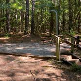 Review photo of Poplar Point Campground — Jordan Lake State Recreation Area by Stuart K., July 1, 2022