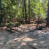Review photo of Poplar Point Campground — Jordan Lake State Recreation Area by Stuart K., July 1, 2022