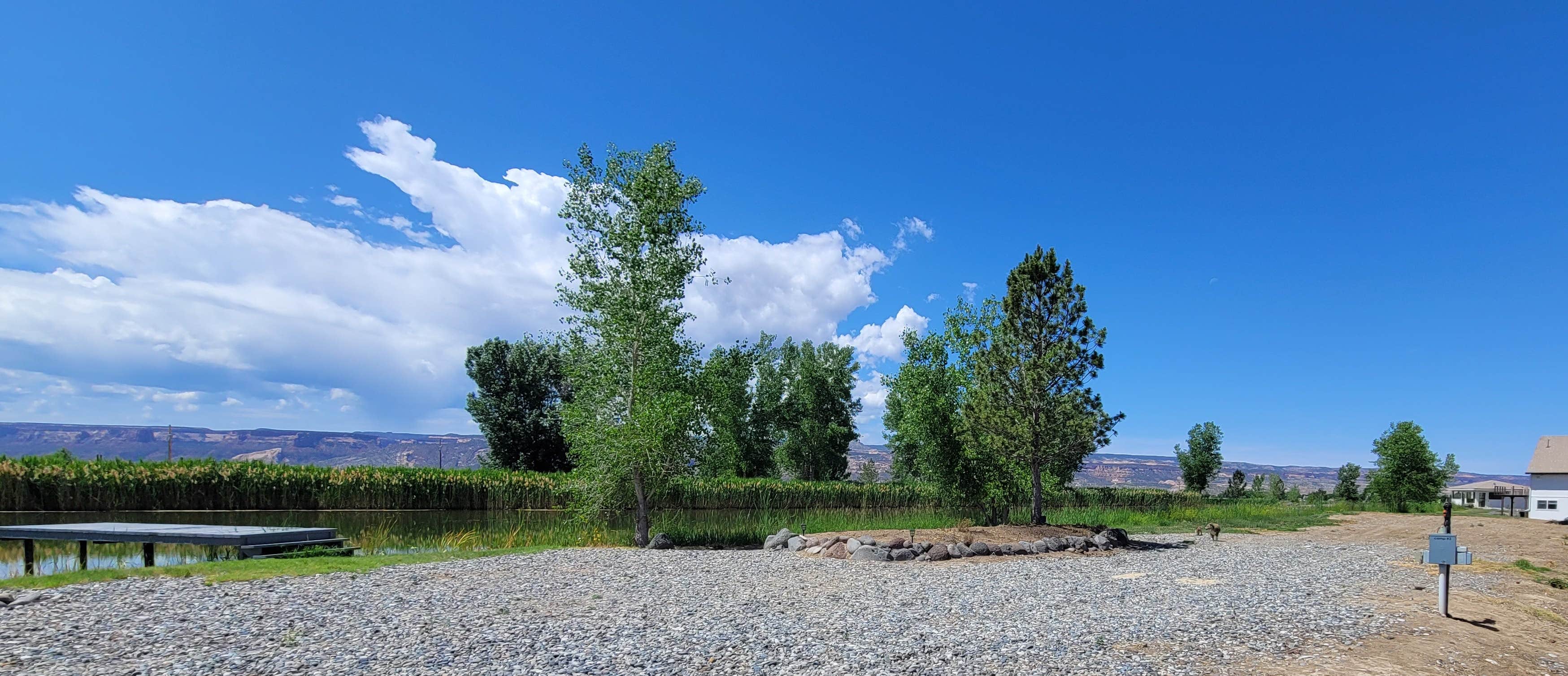Dominique B.'s photo of camping with pets at Fruita by the Lake near Palisade, CO