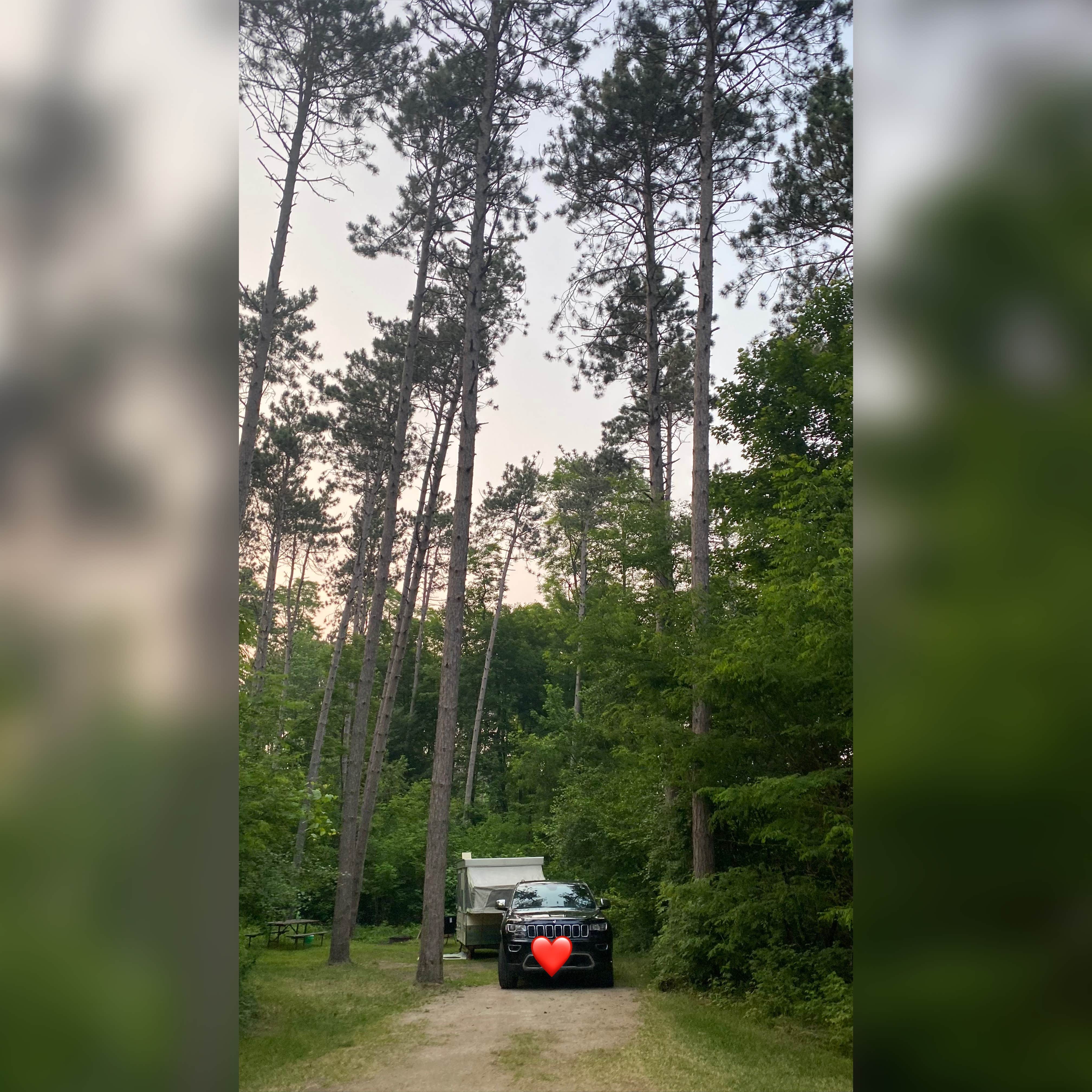 Hartman Creek State Park Campground | Waupaca, WI