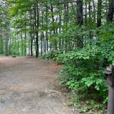 Review photo of Crystal Lake Campground — Northern Highland State Forest by Mike R., June 28, 2023