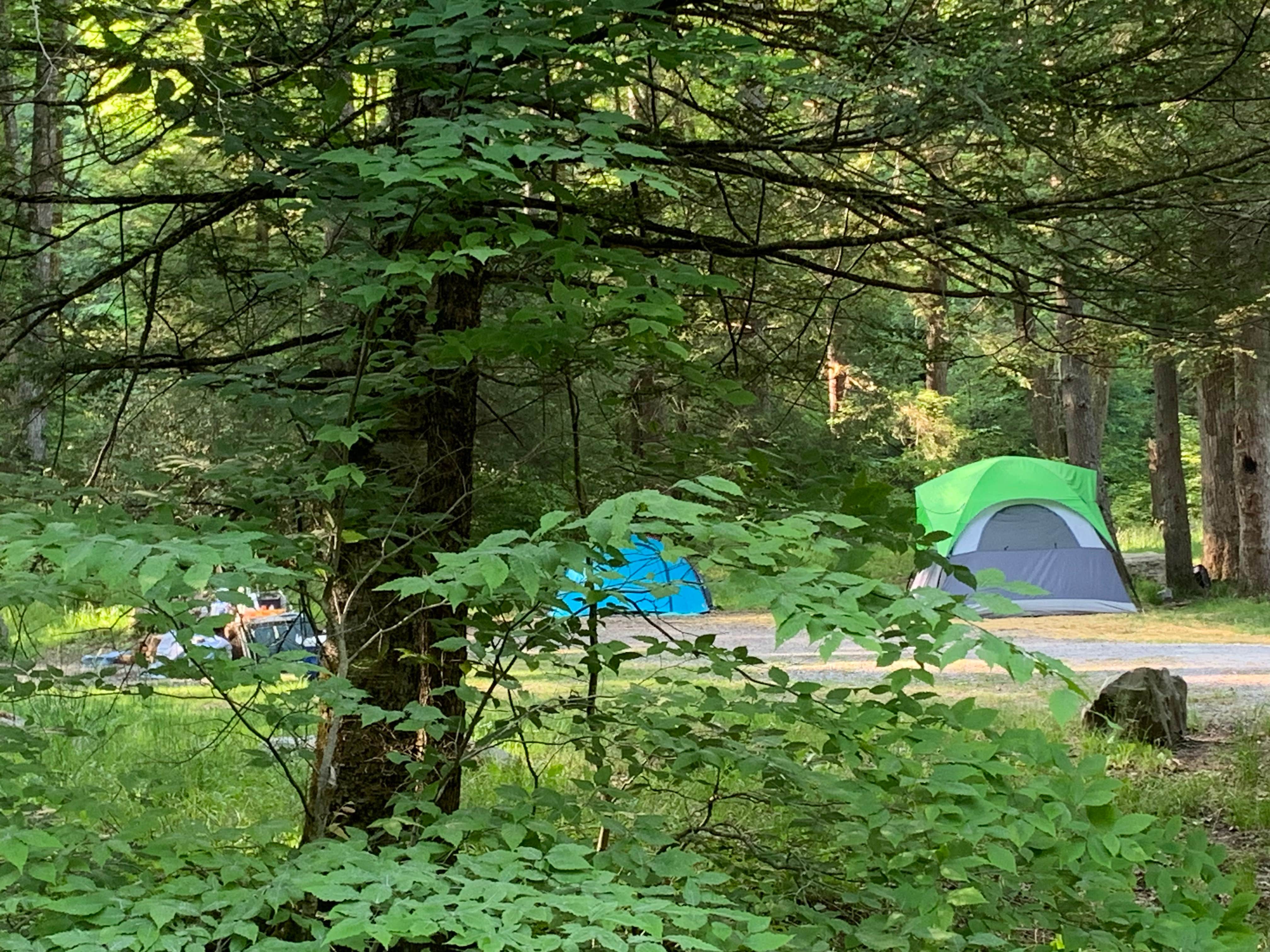 John W.'s photo at Lower Glady Dispersed Campground near Parsons, WV