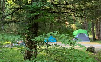 John W.'s photo at Lower Glady Dispersed Campground near Thomas, WV