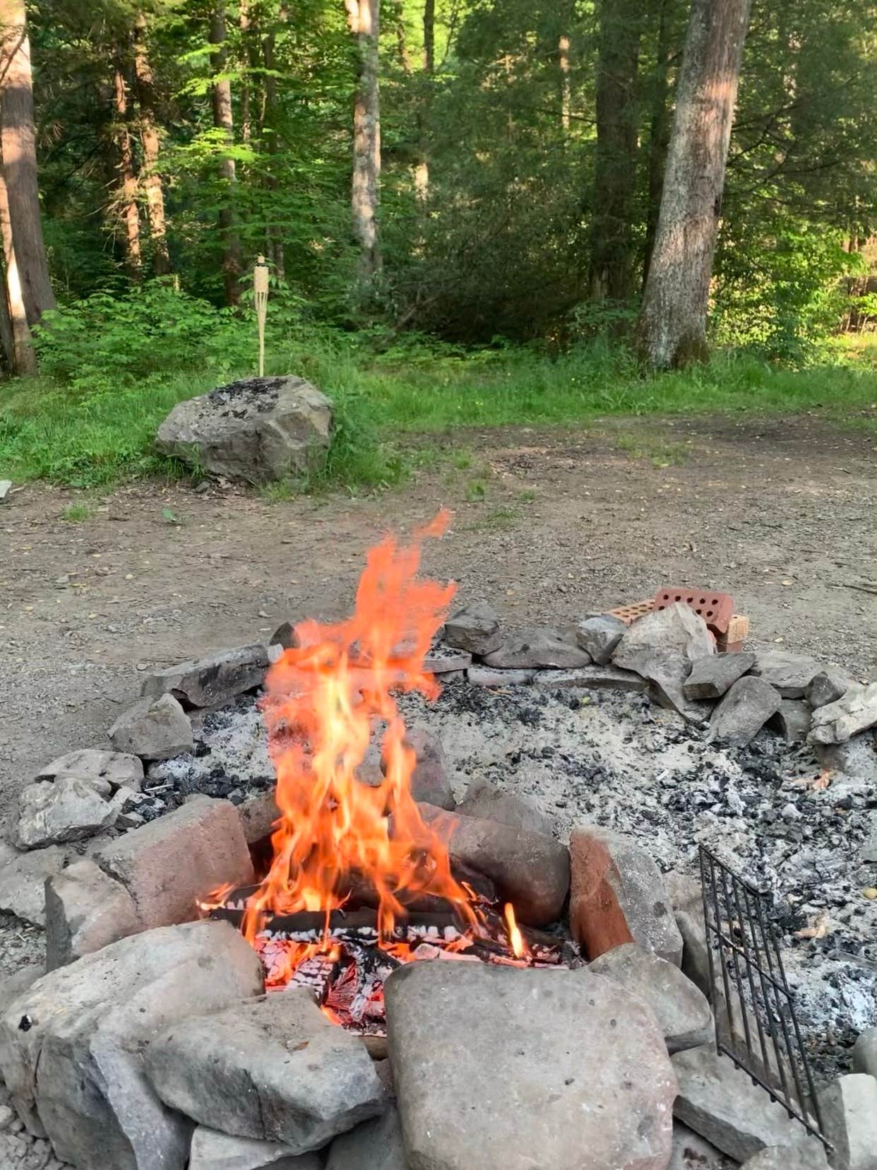 Camper-submitted photo at Lower Glady Dispersed Campground near Glady, WV