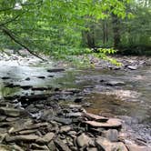 Review photo of Lower Glady Dispersed Campground by John W., June 28, 2023