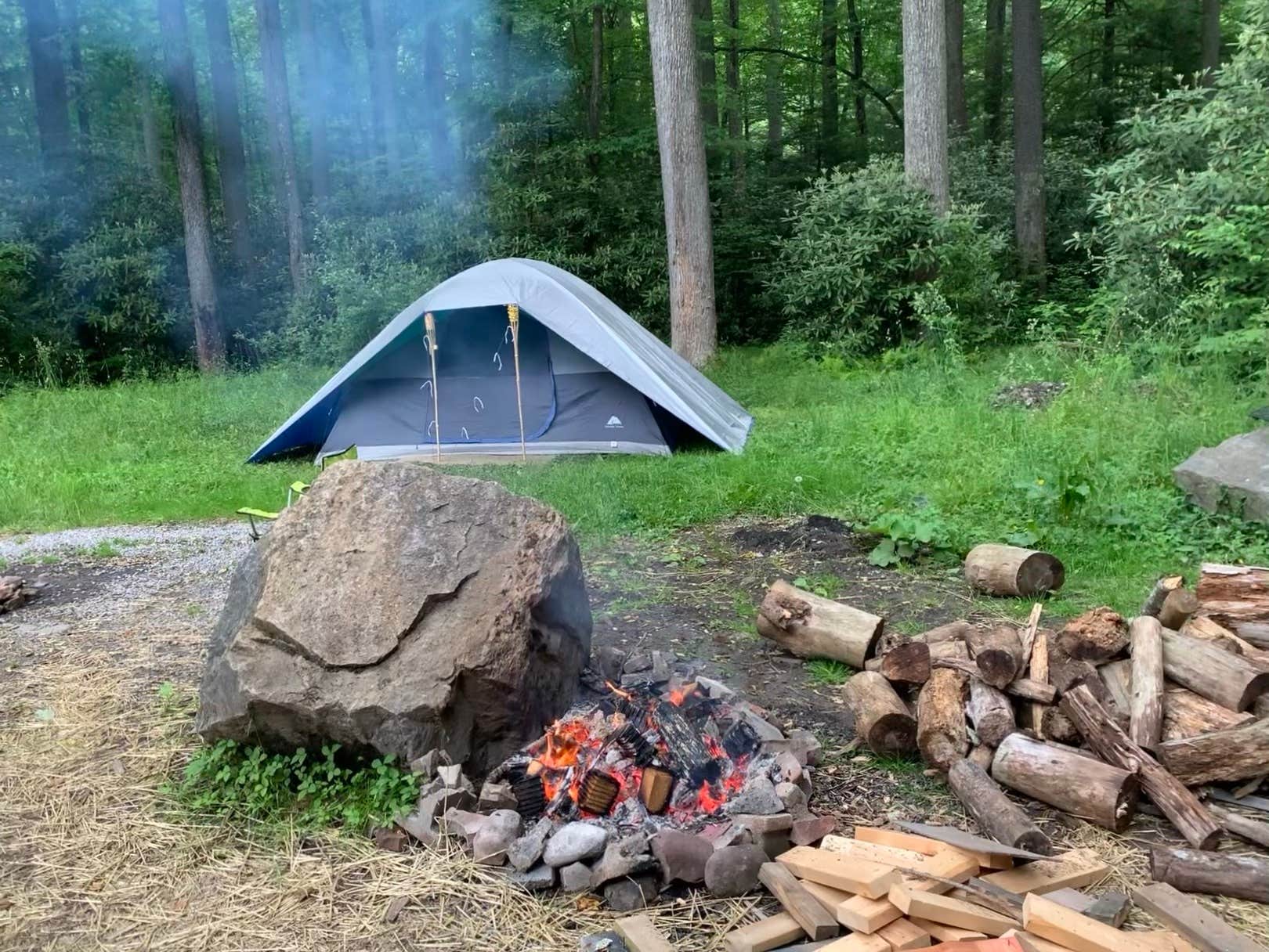 Camper-submitted photo at Lower Glady Dispersed Campground near Glady, WV