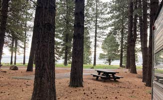 Tracy D.'s photo of camping with pets at Merrill Campground near Lassen Volcanic National Park