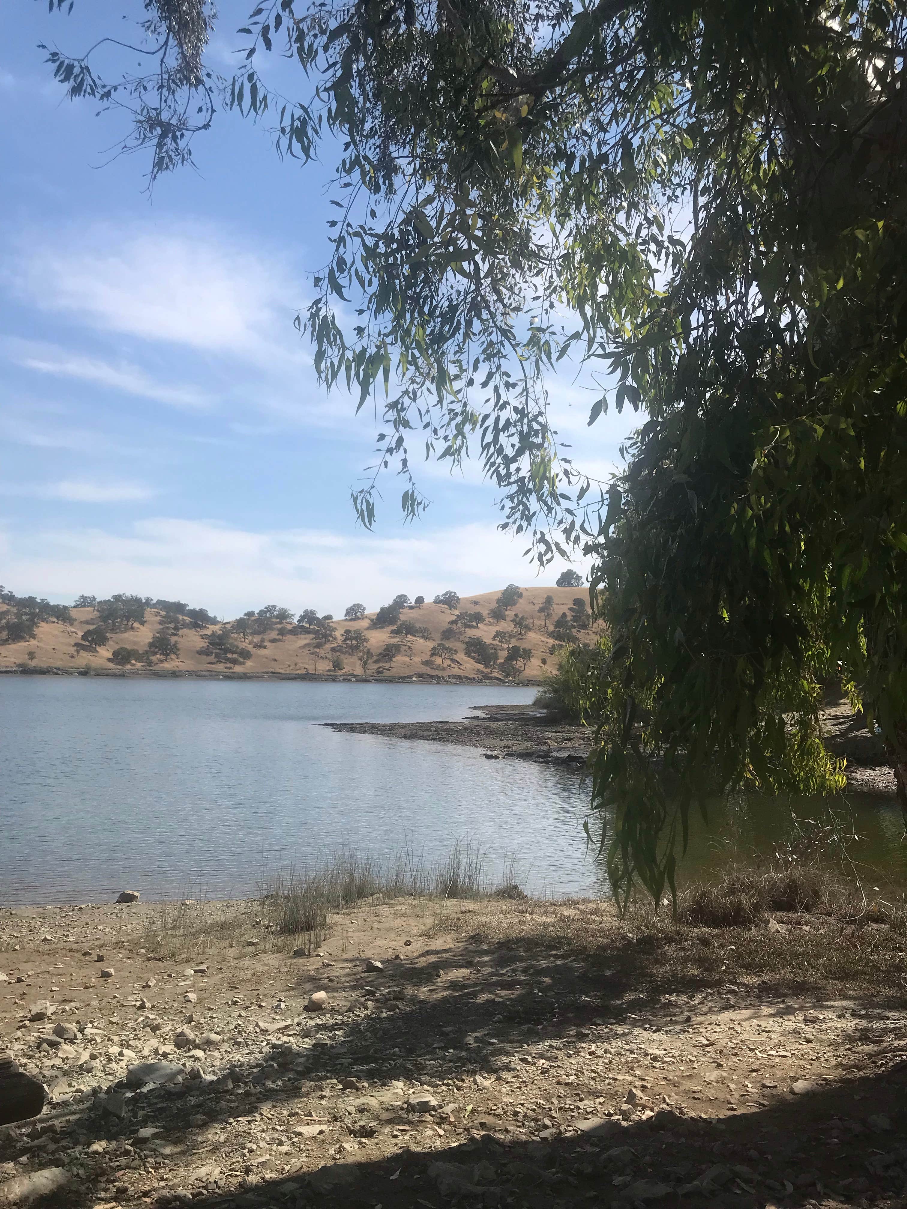 Camper-submitted photo at Lake McSwain Recreation Area near Atwater, CA
