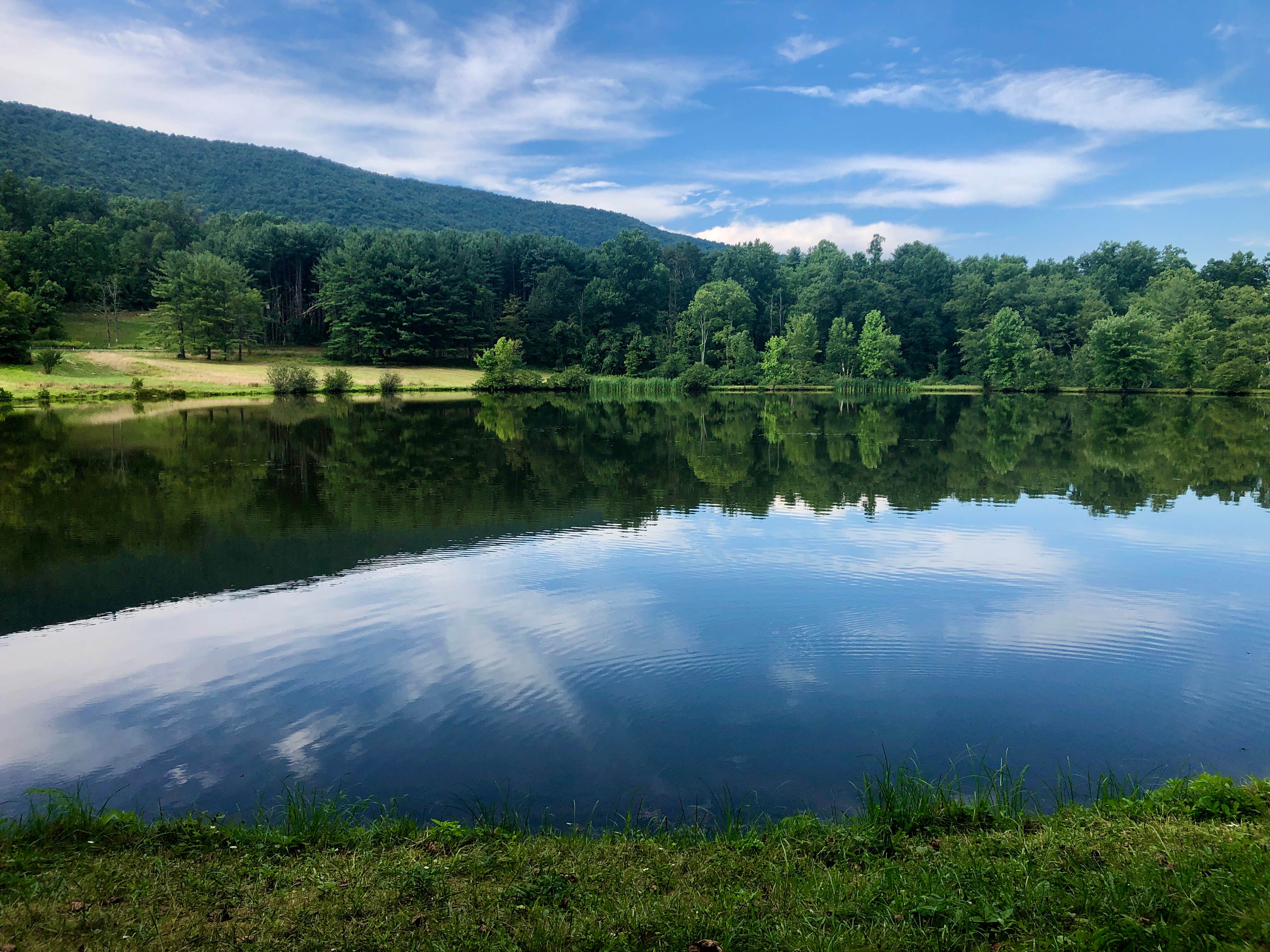 Camper-submitted photo at Free Spirit Campground near Carlisle, PA