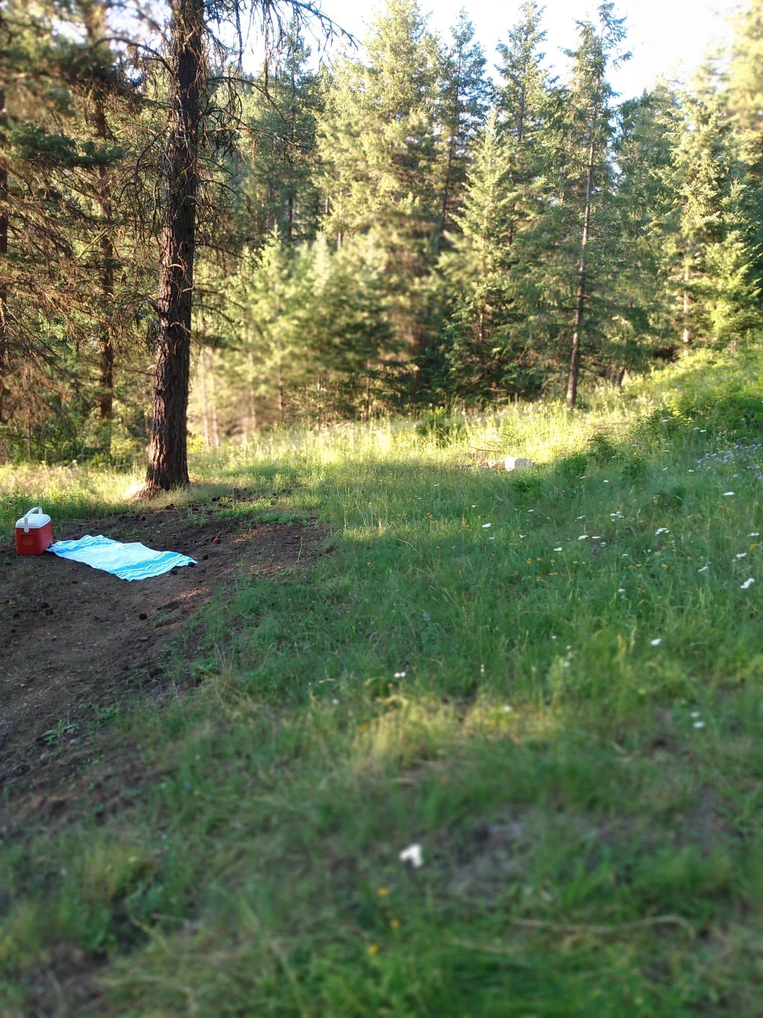 Camper-submitted photo at Highland Glenn Ranch near Colville National Forest