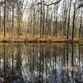 Review photo of Berryman Trail & Campgrounds - Mark Twain National Forest by Patti M., October 19, 2018
