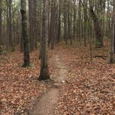 Review photo of Berryman Trail & Campgrounds - Mark Twain National Forest by Patti M., October 19, 2018