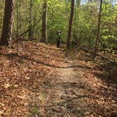 Review photo of Berryman Trail & Campgrounds - Mark Twain National Forest by Patti M., October 19, 2018