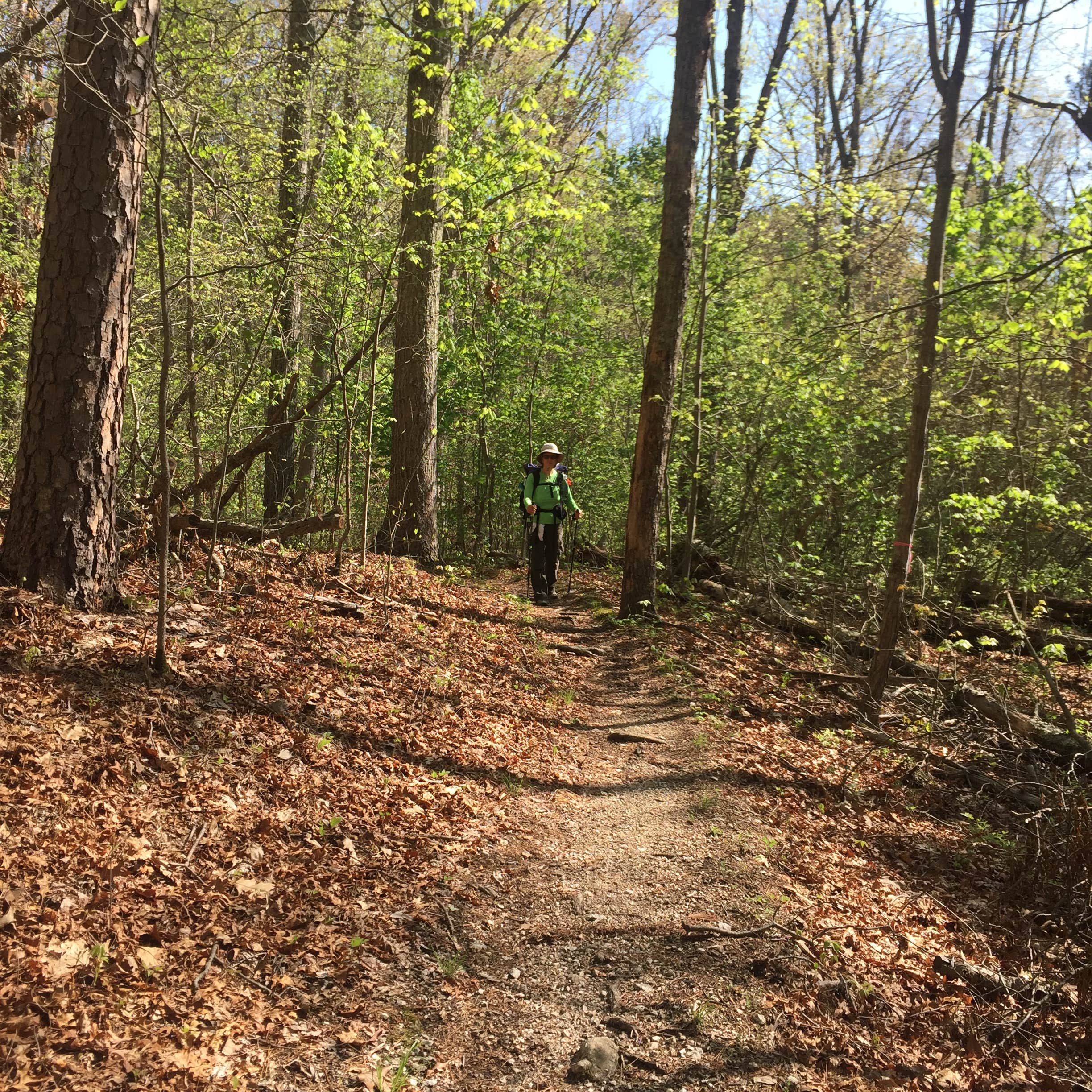 Escape to the Ozark Mountains: Your Guide to Missouri's Berryman Campground