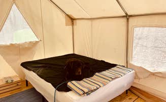 The Dyrt's photo of camping with pets at Tentrr Signature Site - Crestview Campsite Three near Etowah, TN