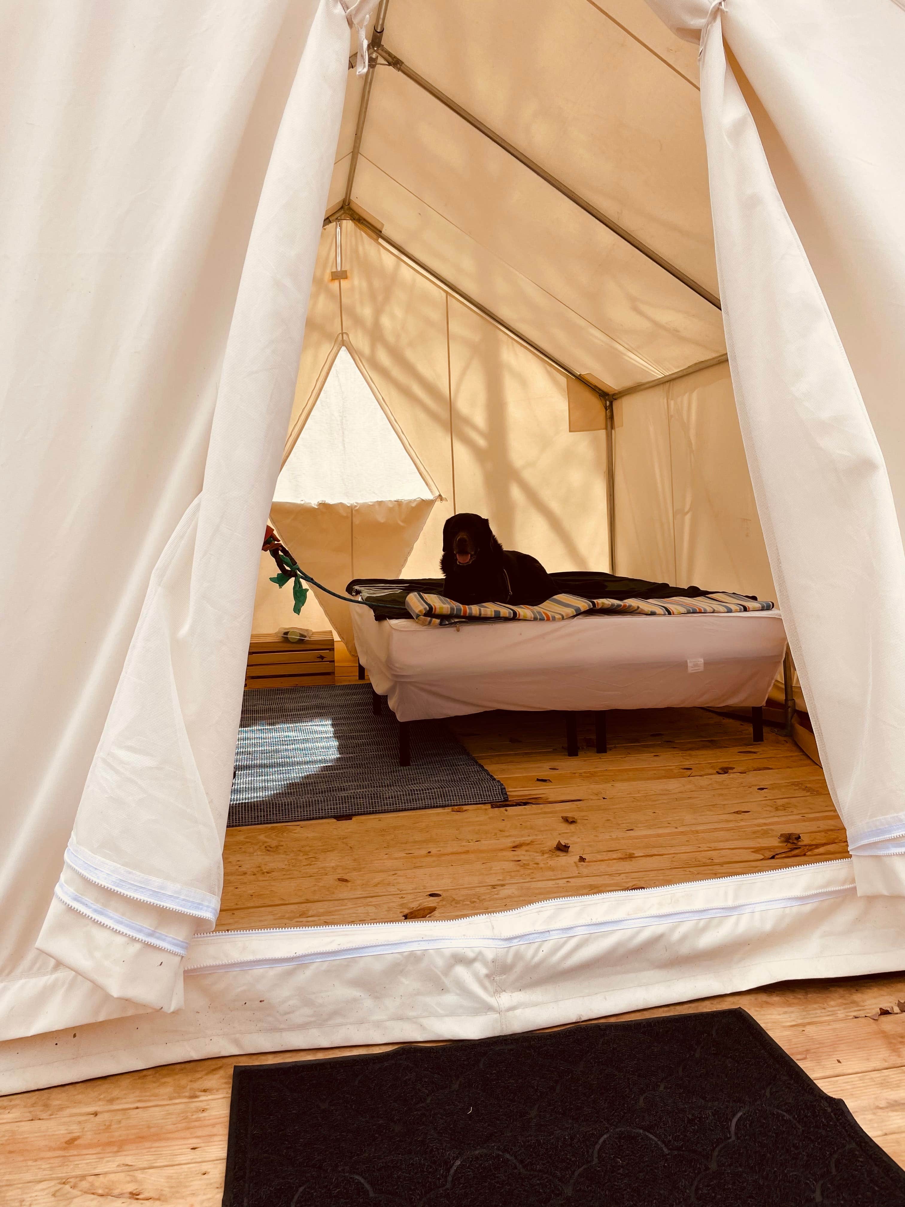 The Dyrt's photo at Tentrr Signature Site - Crestview Campsite Three near Birchwood, TN