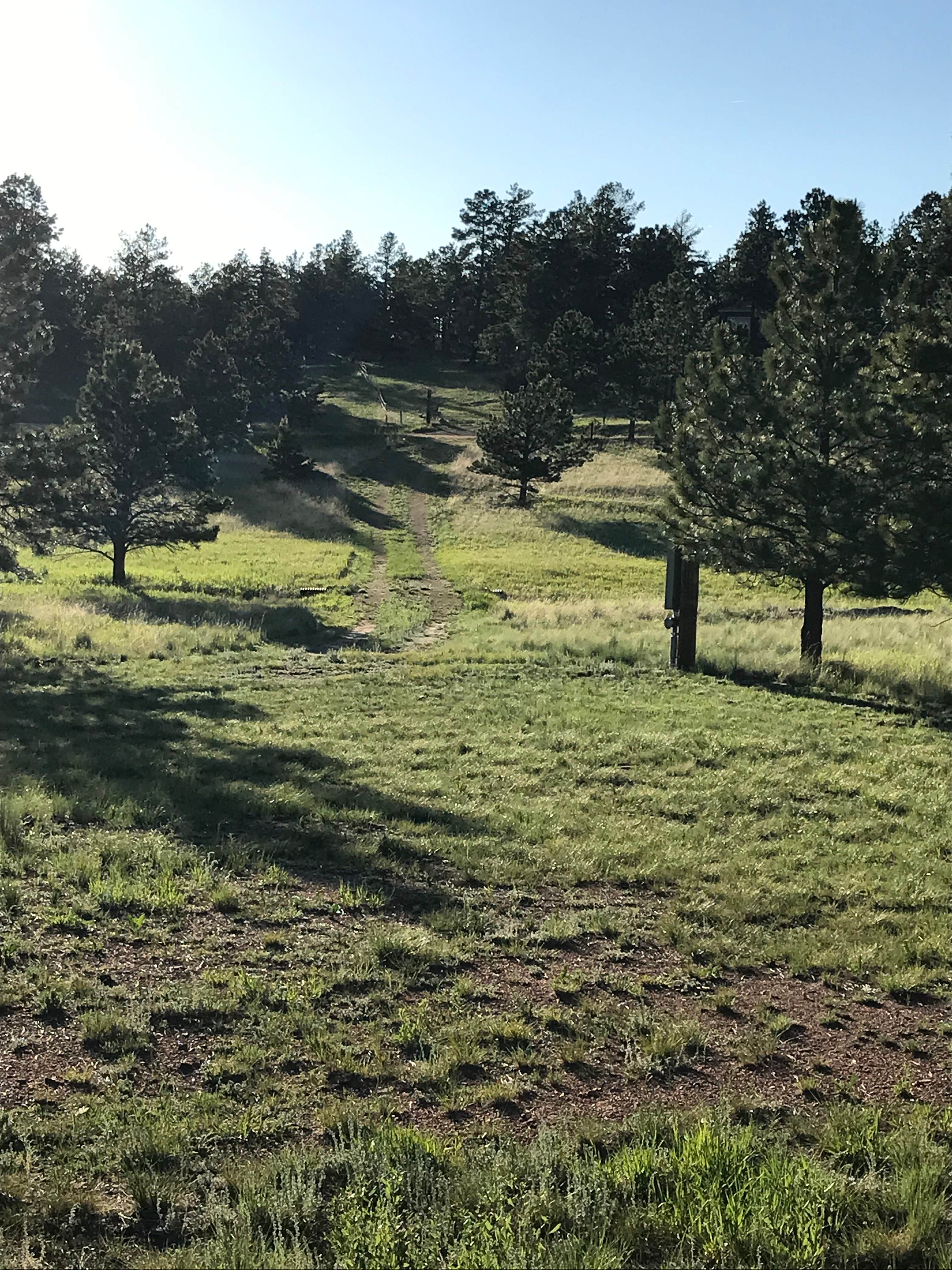 Camper-submitted photo at Eagle Park near Lake George, CO