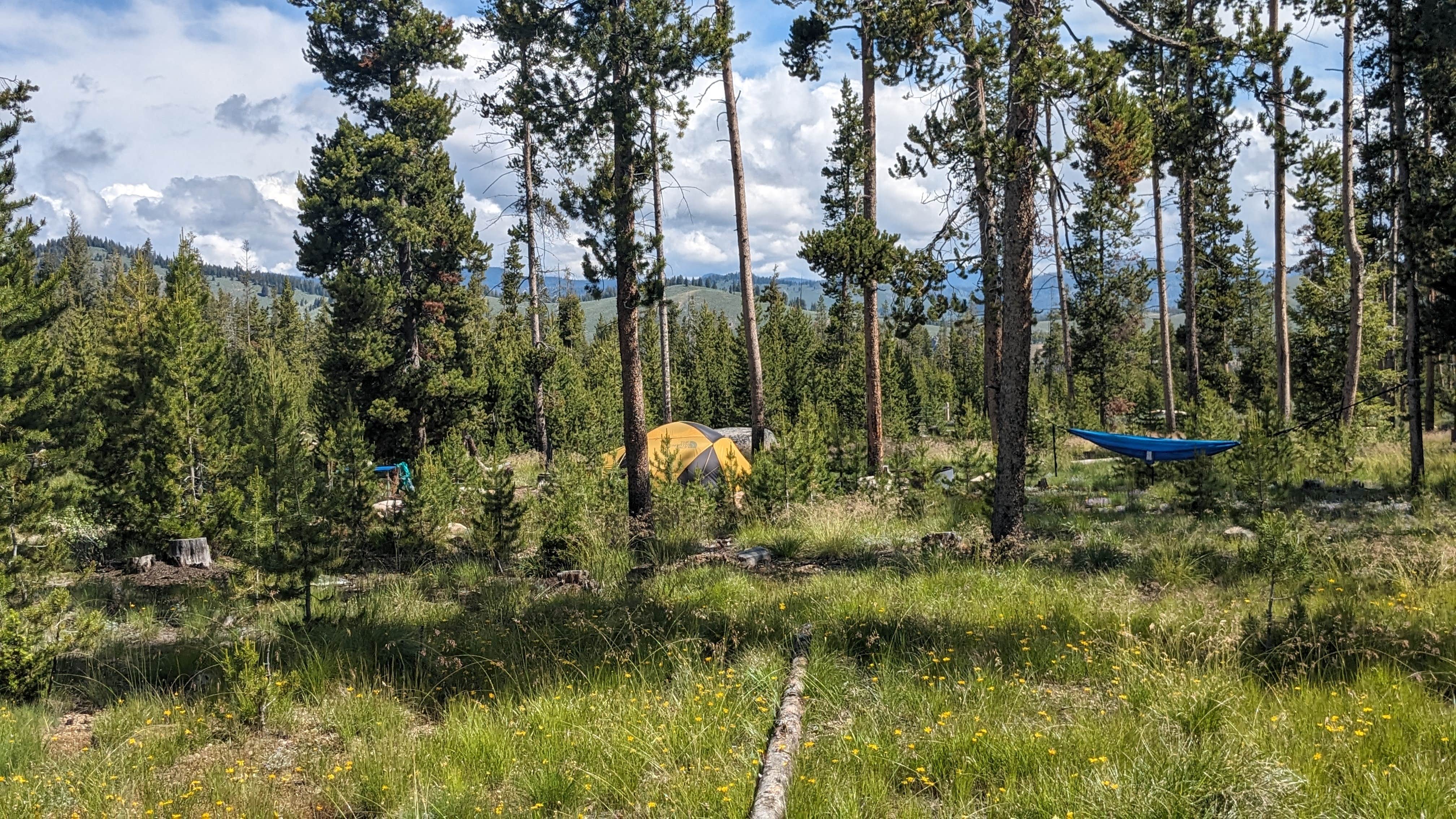 Greg L.'s photo of tent camping at Iron Creek Camp on Forest Road 619 near Stanley, ID